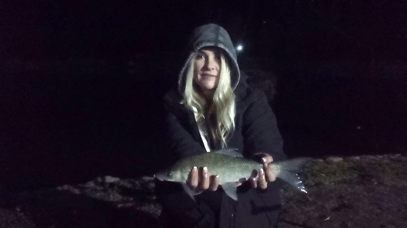 Mudfish caught at Umgede River Lodge, Bloemhof