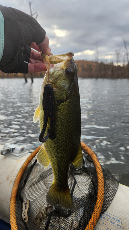 A small bass caught at Warmbad Dam