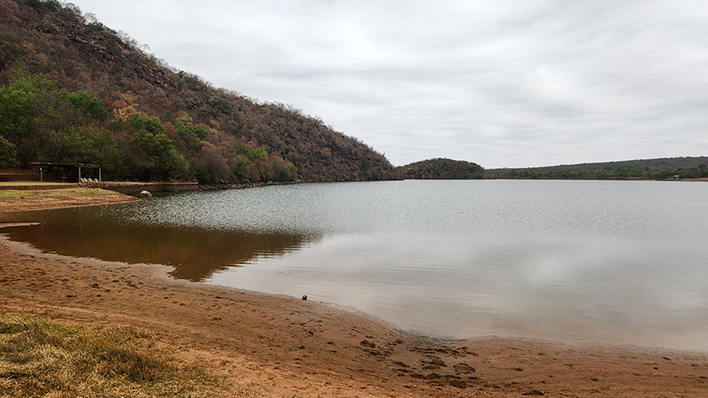 The bank at Donkerpoort Dam, Metsi Metsi, near Modimolle