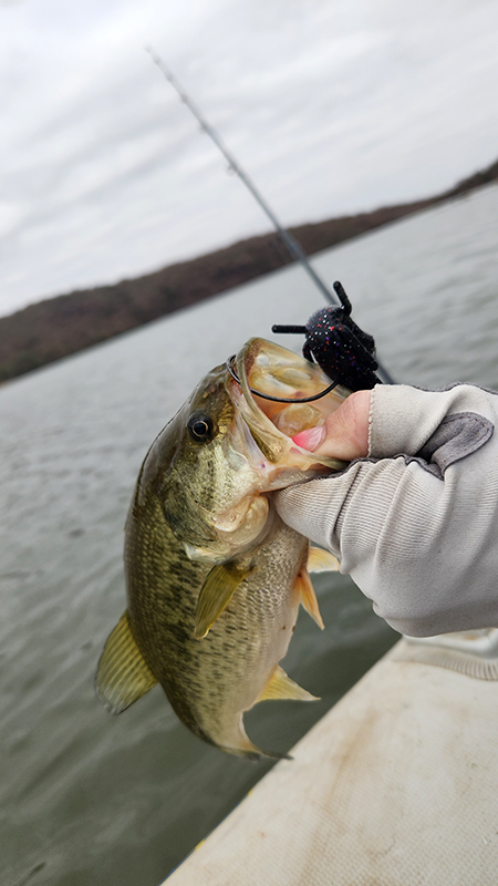 A small bass caught at Donkerpoort Dam