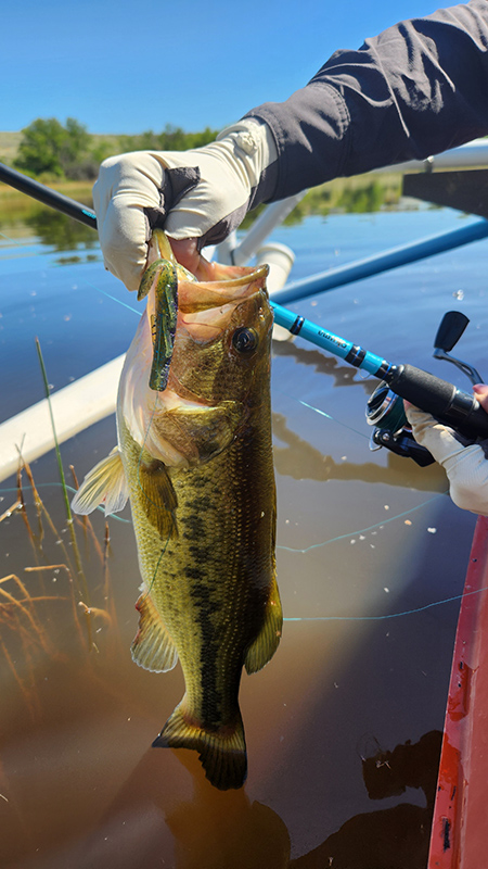 Bass fishing from the canoe at The Great Escape dam