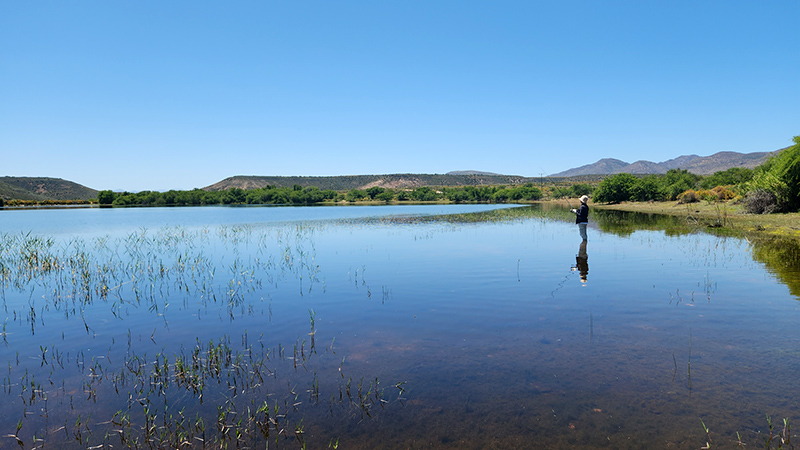 Bass fishing on the larger second dam at The Great Escape