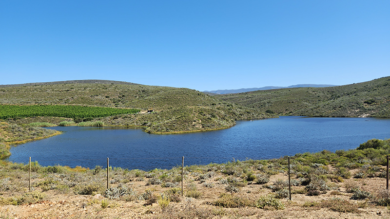 The larger, barely-fished second dam on Doornrivier Farm