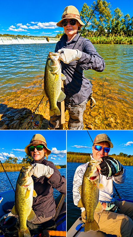 Some of the bass caught at Groendraai River Cottages
