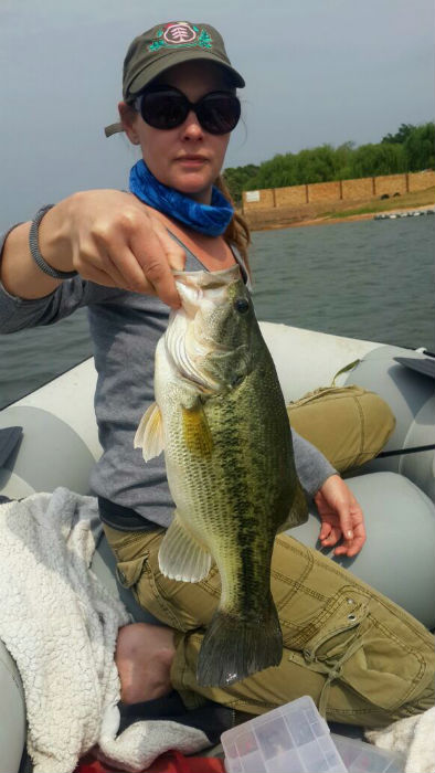 Nice bass