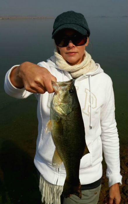 At least one little bass