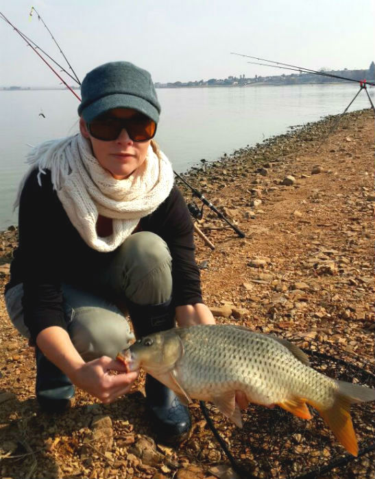 Little common carp