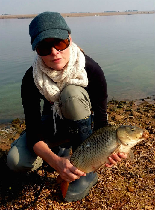Another common carp