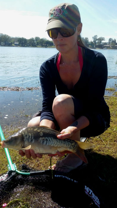 Mirror carp
