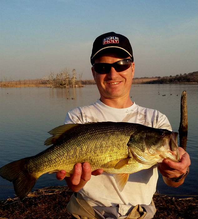 Yet another nice bass