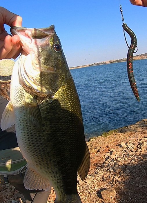 Another nice bass for Martin, caught on his favourite lure