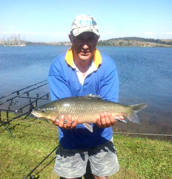 A 3.7kg yellowfish caught at Rietvlei Dam